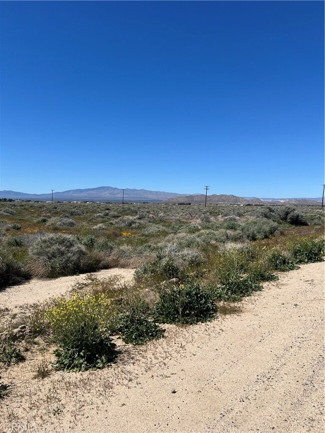 0 Cor Ave A2 60th St W unit SR24073524, Lancaster, CA 93536 - photo 2