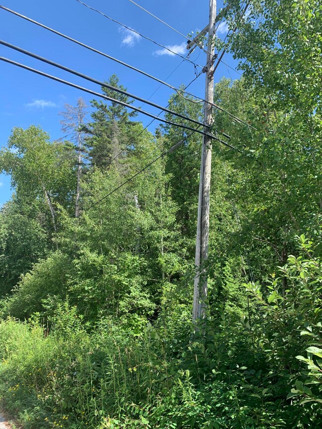 Power Lines Along Huron