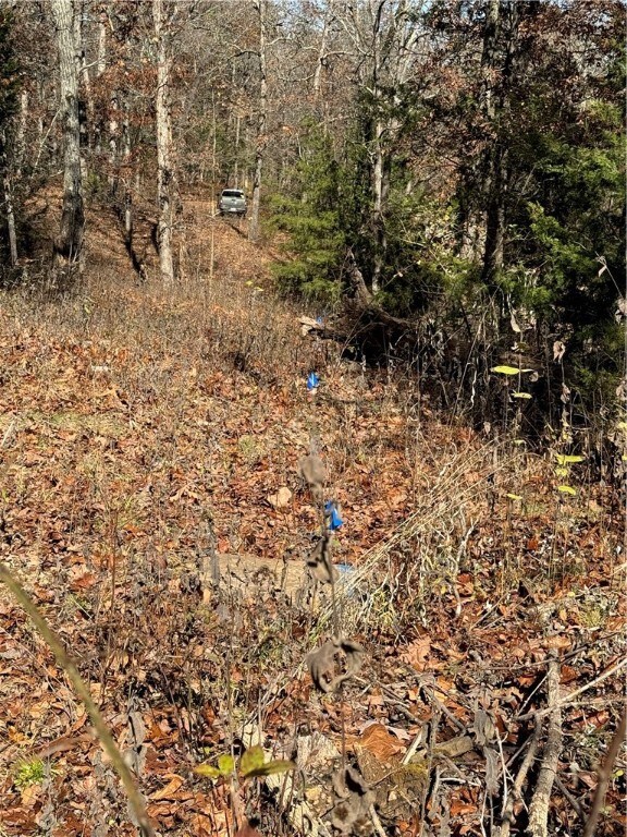 blue flags marking location of 4