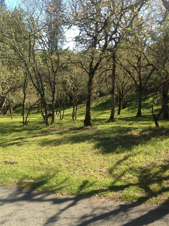 215 Morton Way, Jacksonville, OR 97530 - photo 7