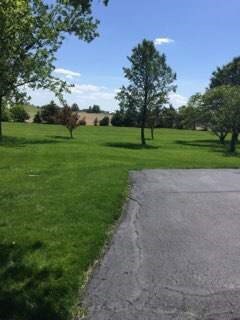 3496 Bethel Rd, Bucyrus, OH 44820 - photo 2