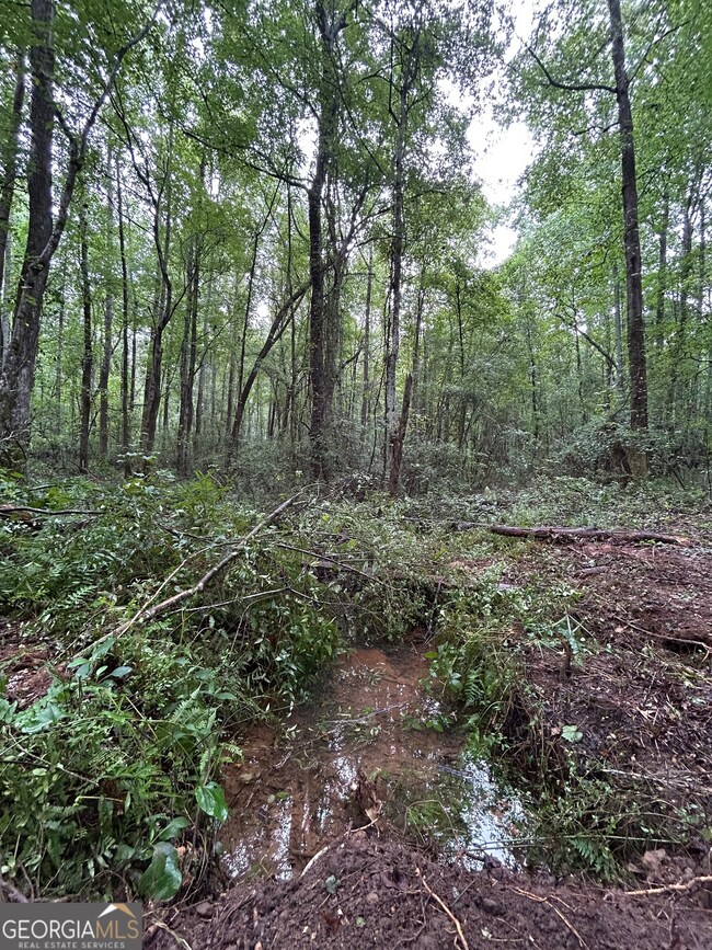 0 Bush St unit 10582678, Barnesville, GA 30204 - photo 7