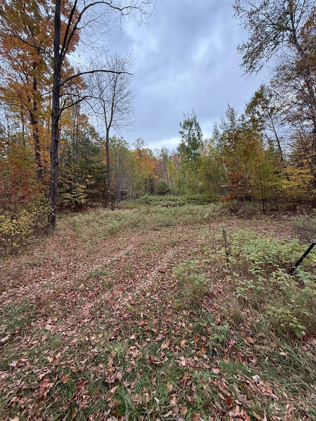 LOT 2 Birch Ln, Nashville, WI 54465 - photo 4