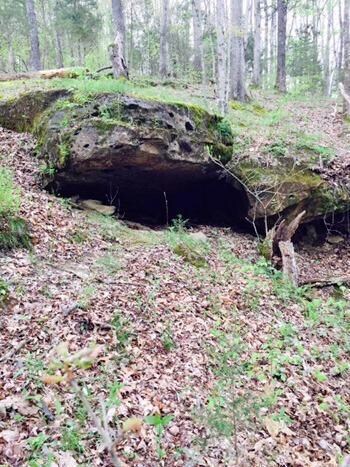 1580 Long Hollow Rd, Somerset, KY 42501 - photo 3