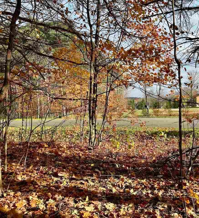 V/L Bay Shore Dr W unit 36, Bay Shore, MI 49720 - photo 5