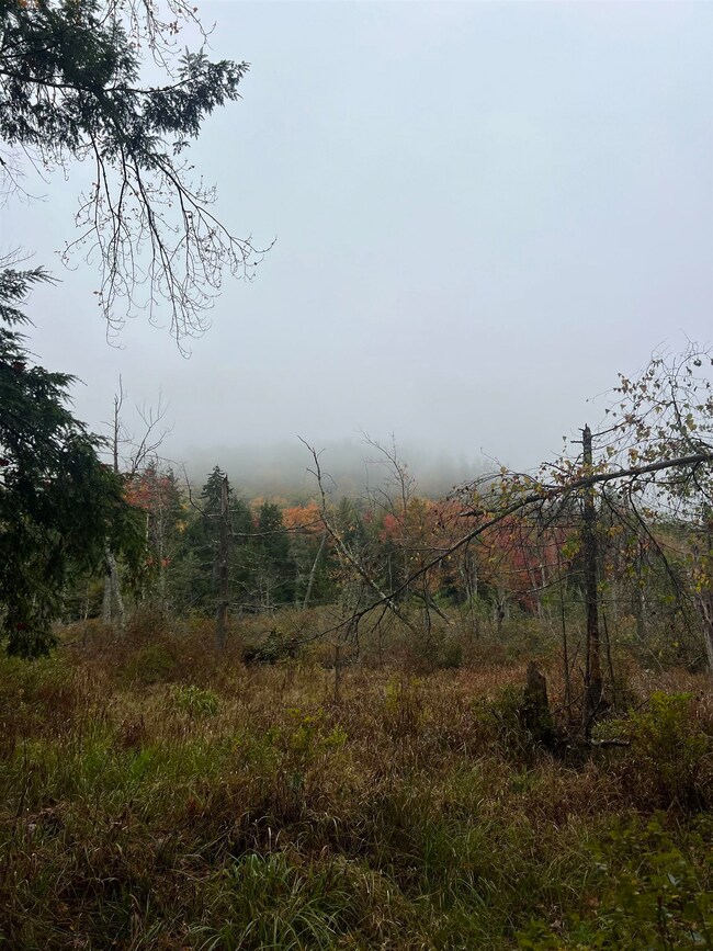 0 Freeman Colby Rd, Henniker, NH 03242 - photo 2