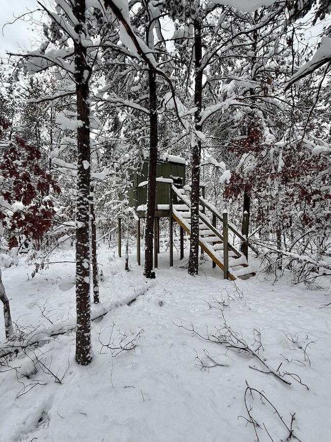 11335 S Broadway St, Bitely, MI 49309 - photo 3