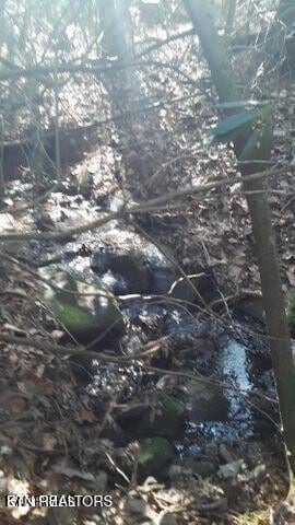 14 Clear Fork Dr, Jamestown, TN 38556 - photo 5