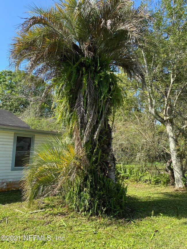 6042 Hyram Ave, Jacksonville, FL 32210 - photo 2