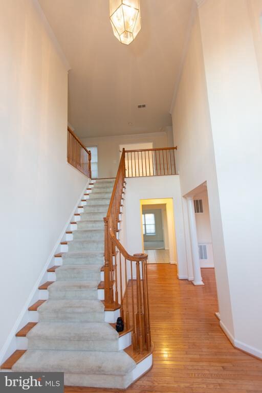 8633 Saddleback Place, Laurel, MD 20723 - photo 6