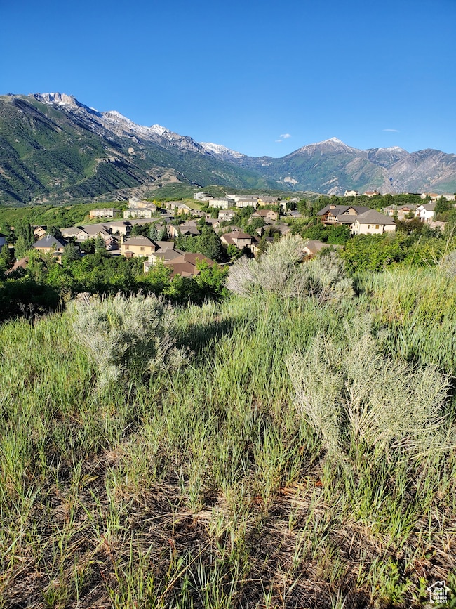 View of mountain background featuring nearby suburban area