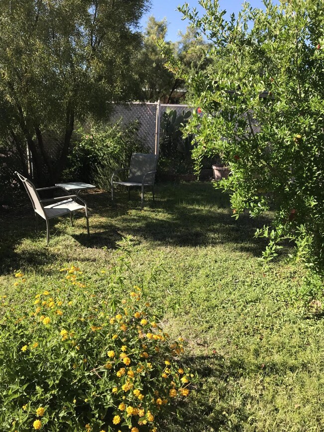 3417 E. Seneca St. - Back Yard 4