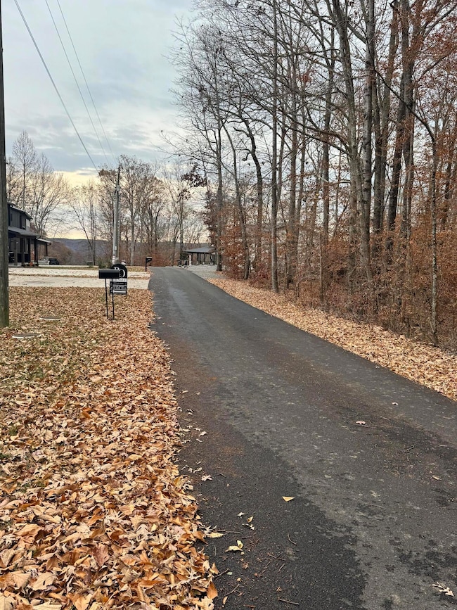 26 Peach Tree Ln, Russell Springs, KY 42642 - photo 3