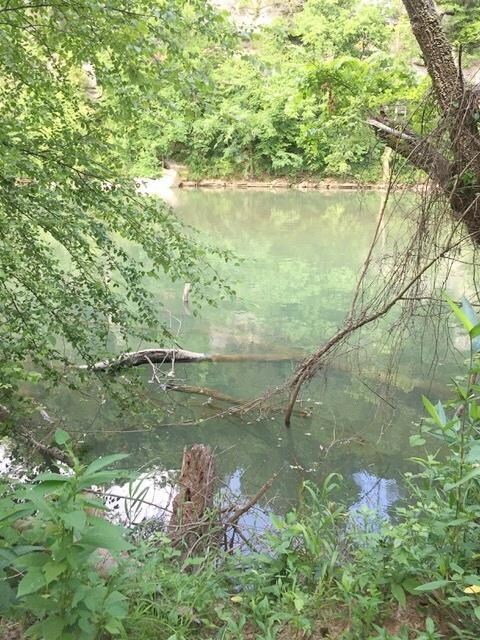 0 Dailey Loop unit RTC1839487, Linden, TN 37096 - photo 6