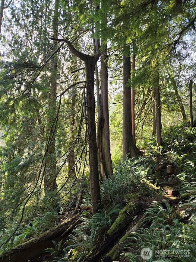 0 NKA Kendrick and Wier St, South Bend, WA 98586 - photo 5