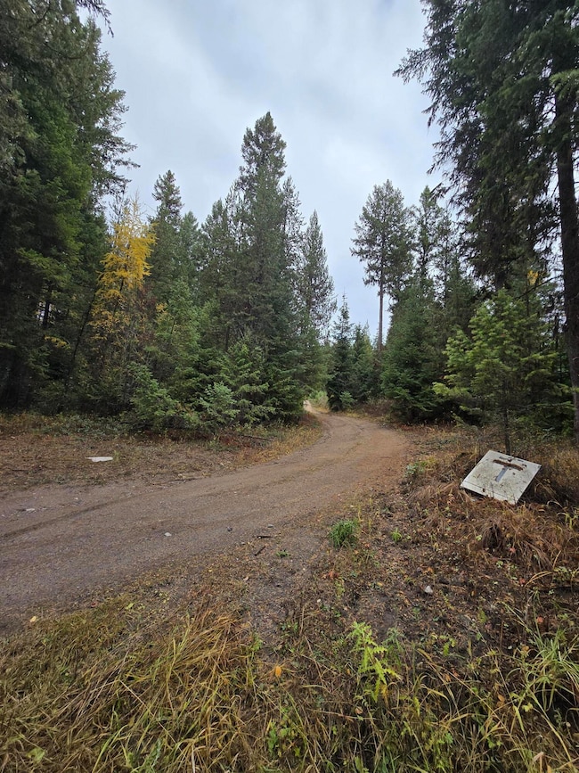 1622 T Clugston-Onion Crk Rd, Colville, WA 99114 - photo 3