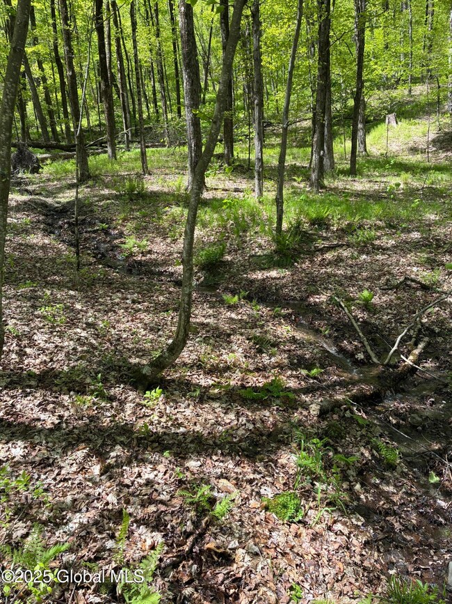 L21.3 County Route 5 & I90, Canaan, NY 12060 - photo 7