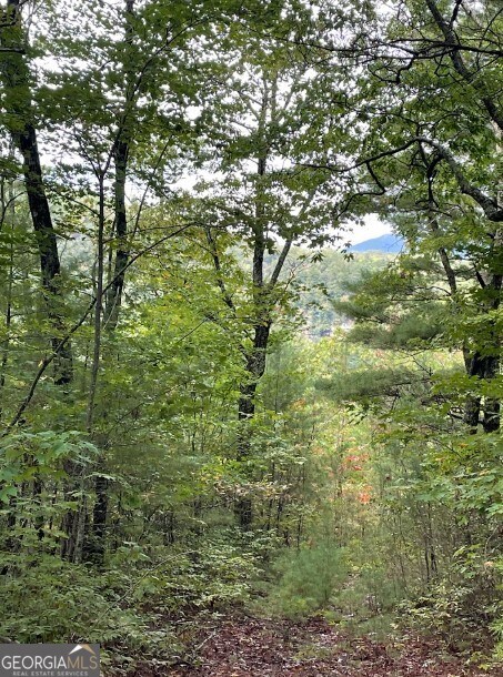 0 Sequoia Hills Ln unit 10613618, Clayton, GA 30525 - photo 5