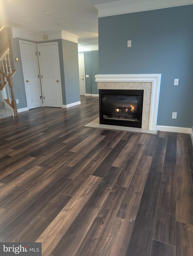 46924 Courtyard Square unit 300, Sterling, VA 20164 - photo 5