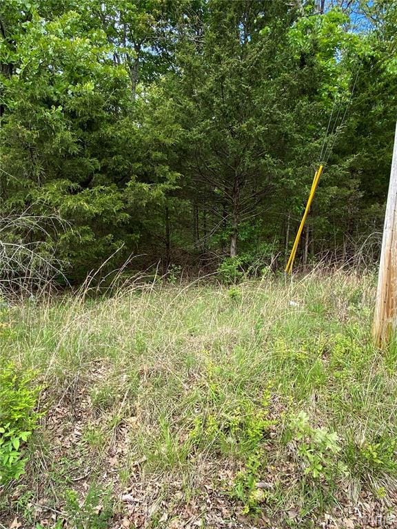 000 Oakdale Cir, Benton Township, MO 65453 - photo 3