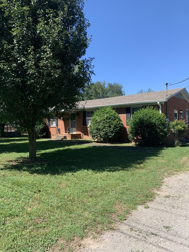 Nice Level Lot w/ Mature Trees