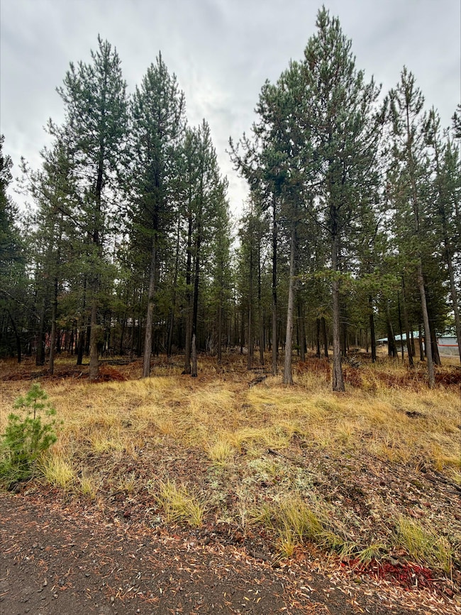 17113 Covina Rd, Bend, OR 97707 - photo 5