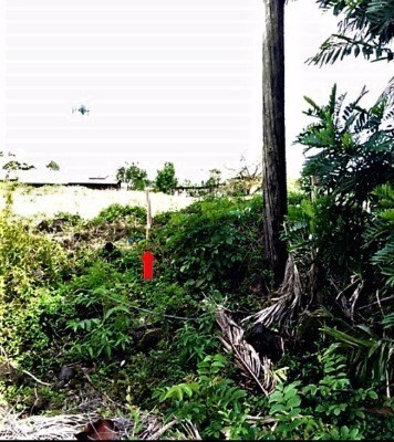 1746 Kilauea Ave, Hilo, HI 96720 - photo 6