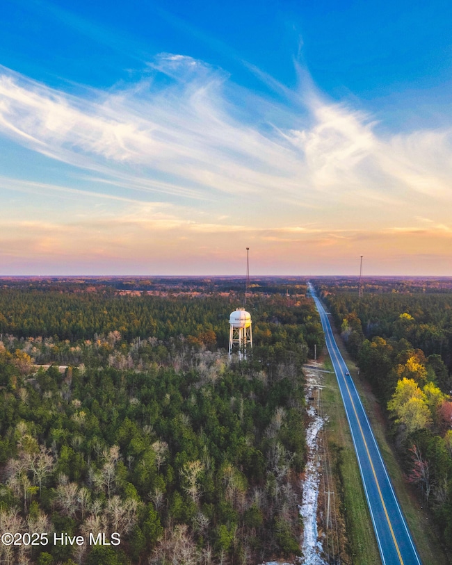 0 15 501 unit 100535433, Wagram, NC 28396 - photo 3