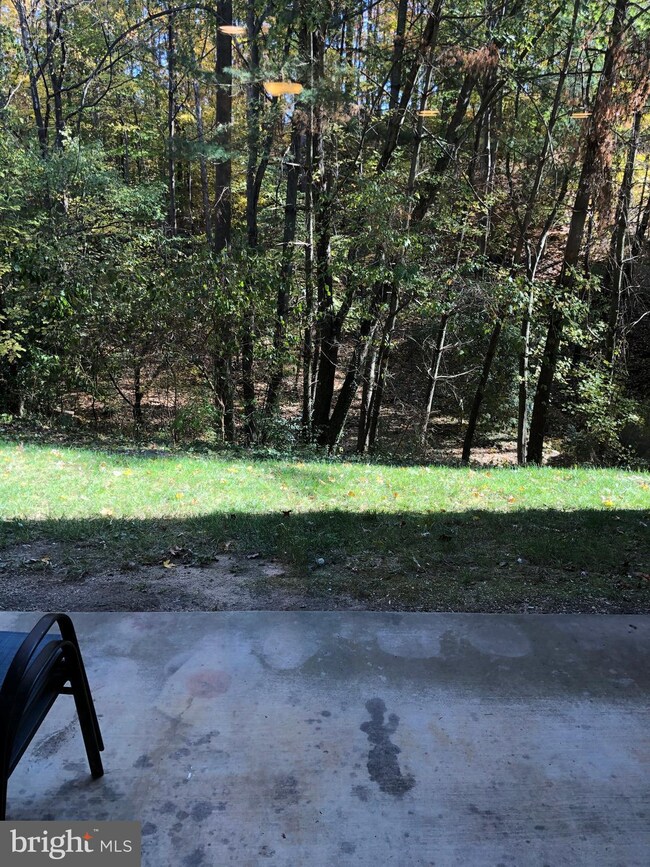 3725B Madison Ln, Falls Church, VA 22041 - photo 3