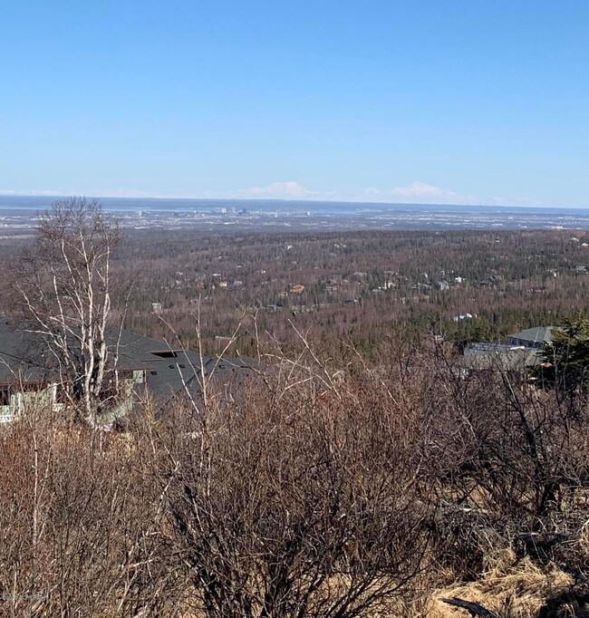 View to the North