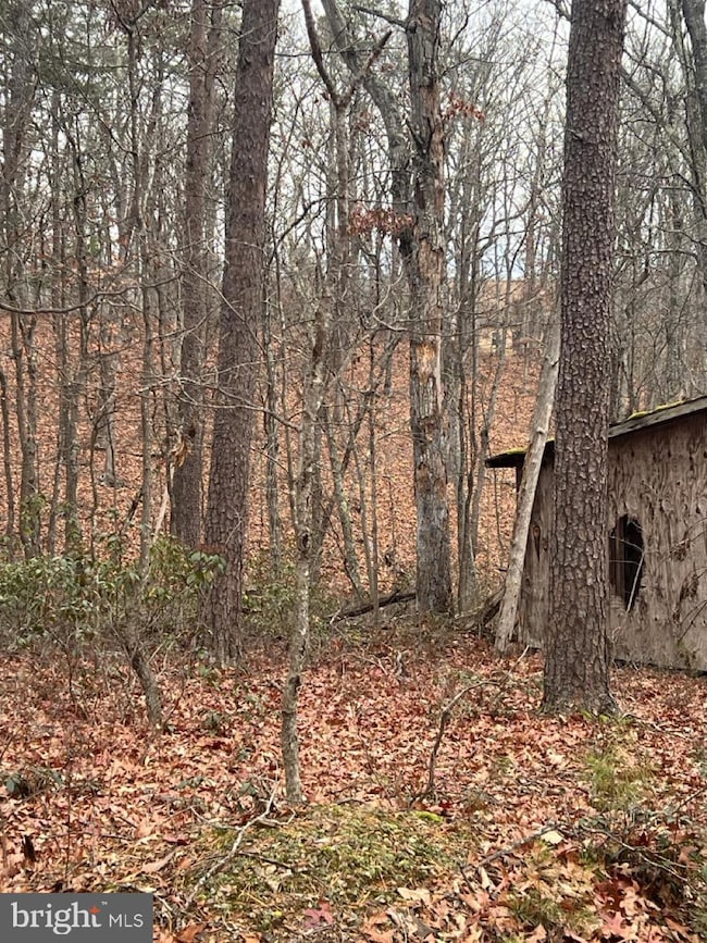 Lot 6 Hummingbird La 0, Star Tannery, VA 22654 - photo 6