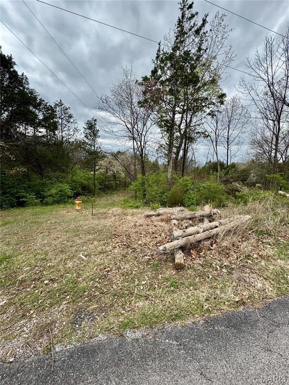 511 Arrowhead, Cedar Hill, MO 63016 - photo 7