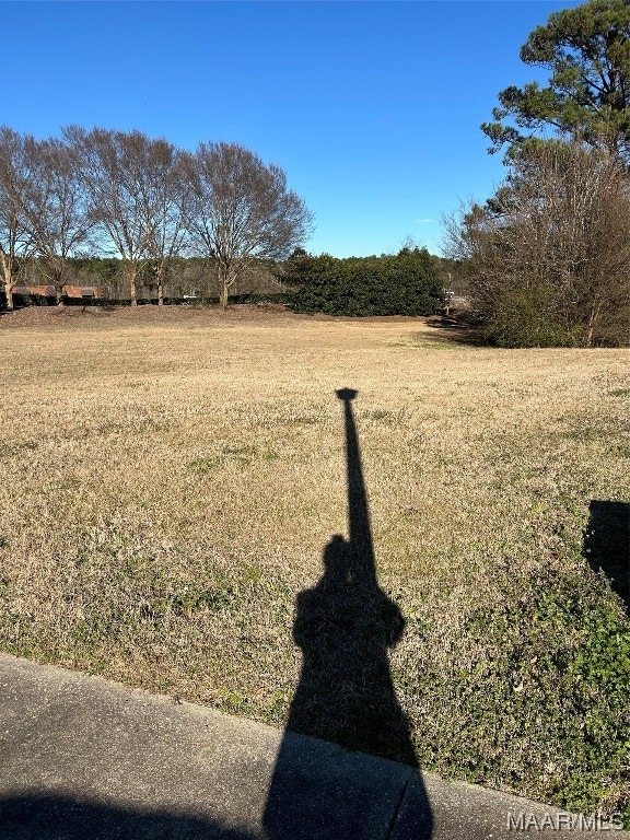 53 Mullis Creek, Pike Road, AL 36064 - photo 6