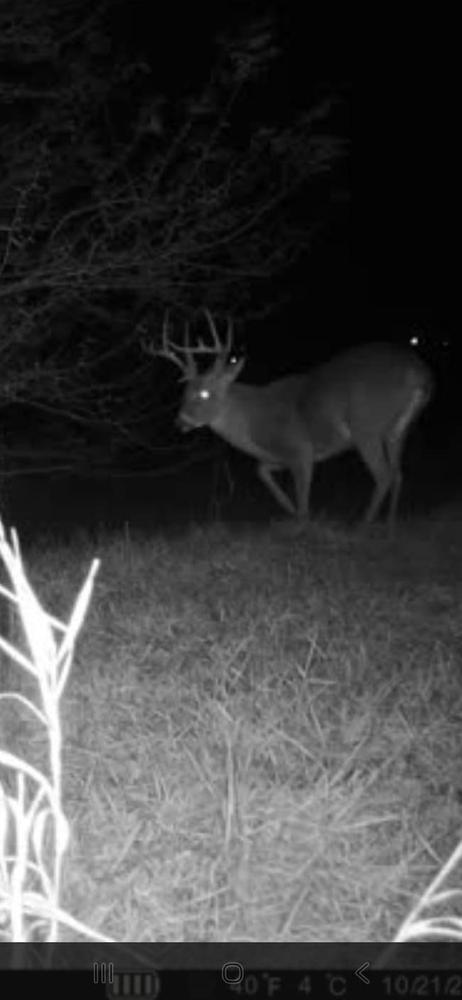 0 Violet Rd, Reger, MO 64630 - photo 5