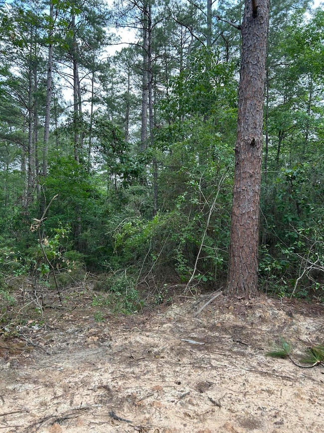 Pic 3 - Lot 16 Bent Creek