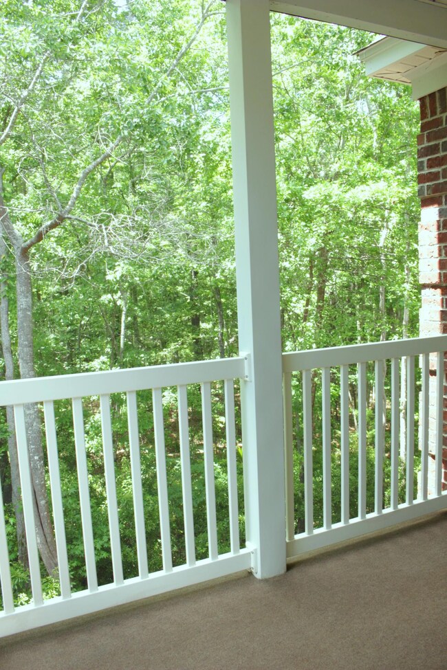 Patio View