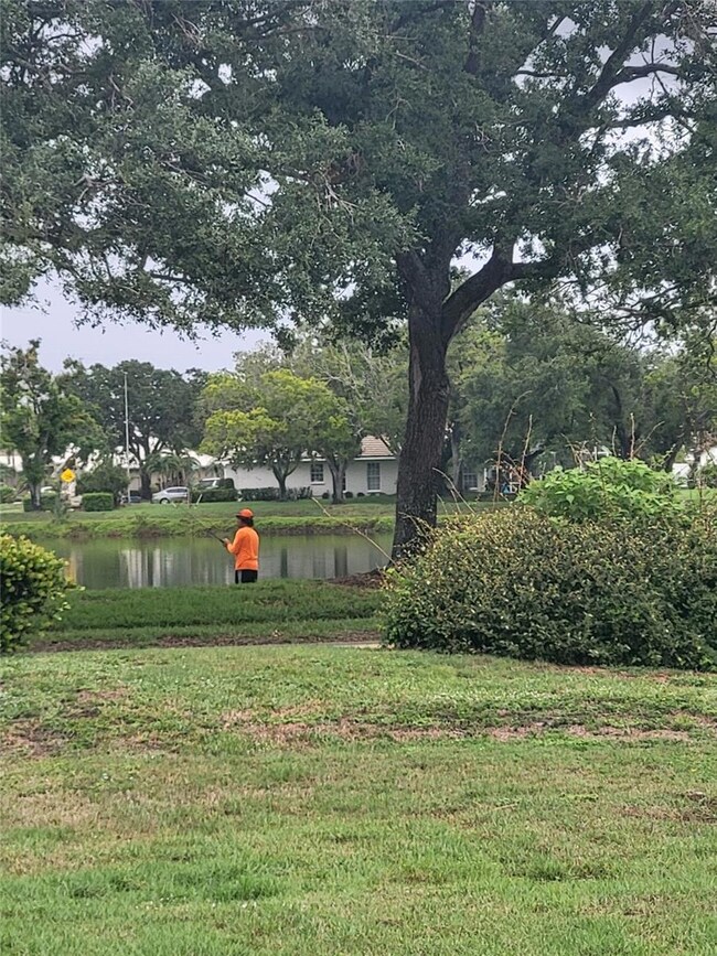 482 Pendleton Place, Venice, FL 34292 - photo 7