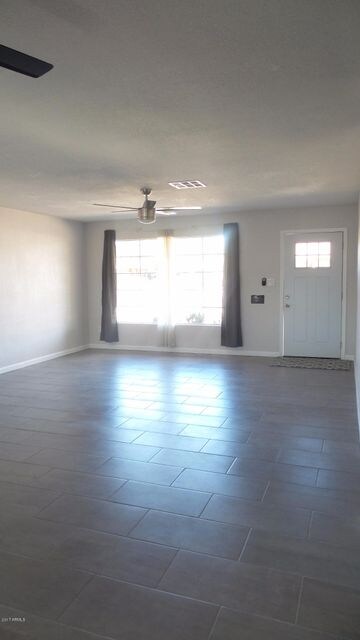 Ocotillo 4