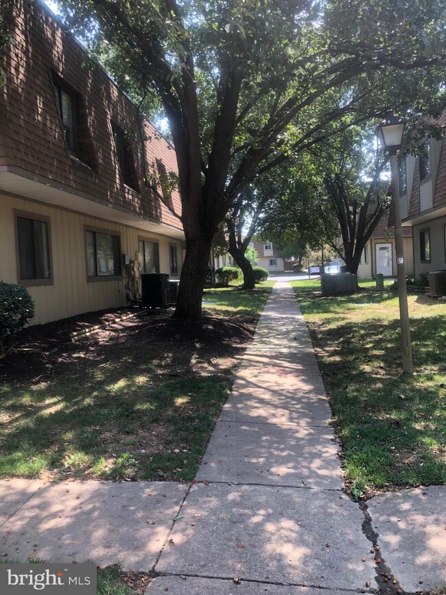 7911 Casa Grande Place unit A, Alexandria, VA 22309 - photo 4