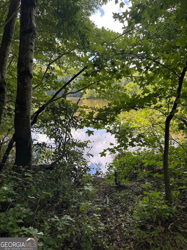 16653 Highway 36, Covington, GA 30014 - photo 3