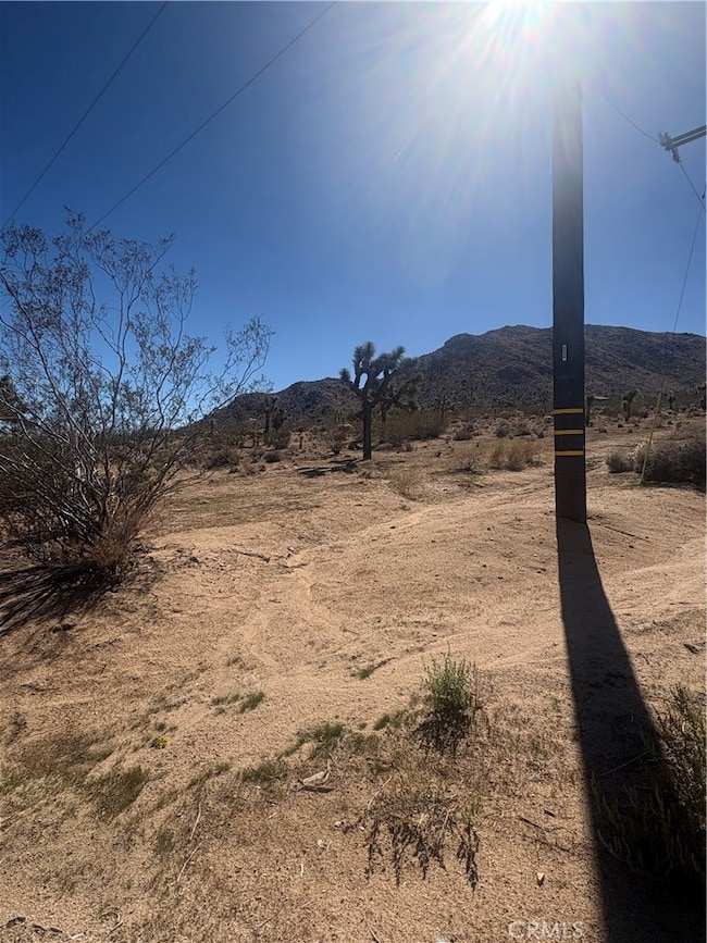 0 Melton Trail unit JT25242563, Joshua Tree, CA 92252 - photo 5
