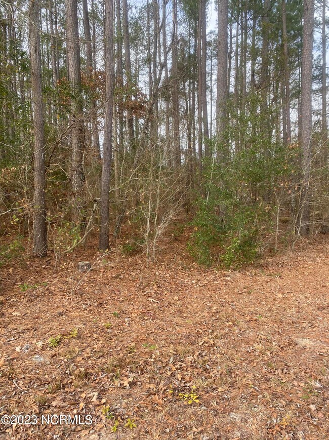 photo of church lot 4