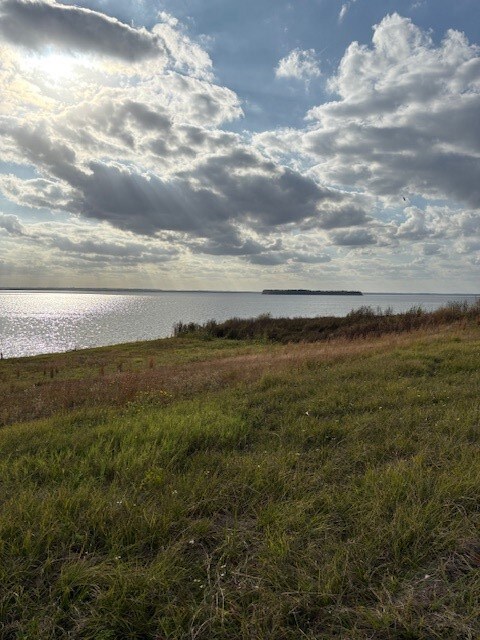 0 Nickerson Rd, West Livingston, TX 77351 - photo 4