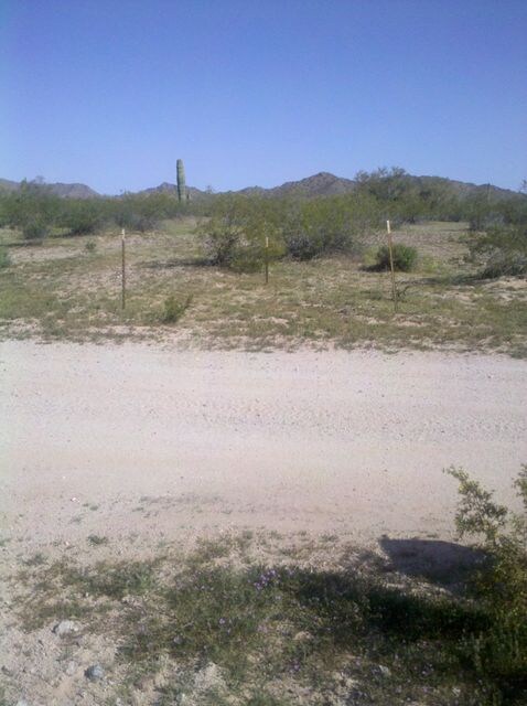 Land