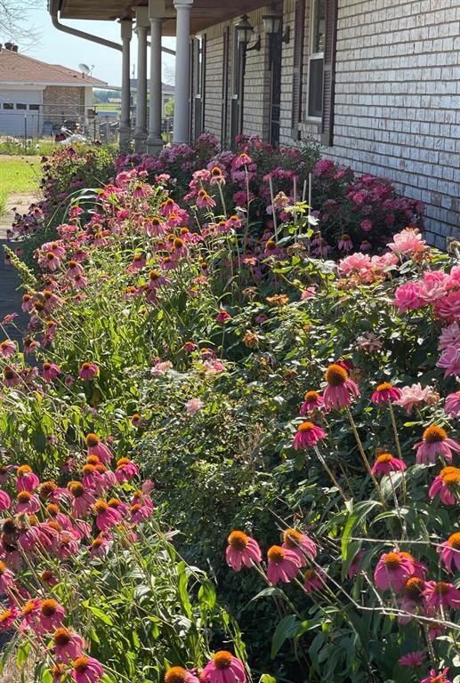 452 E Pecan Tree Rd, Waxahachie, TX 75165 - photo 4