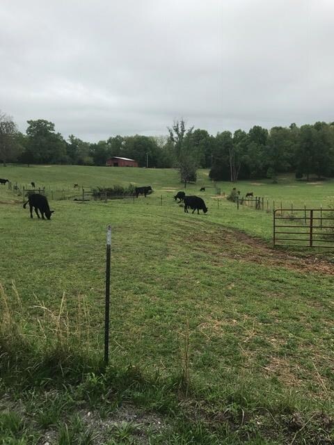 Attractive neighboring properties..  some with pasture & cattle.