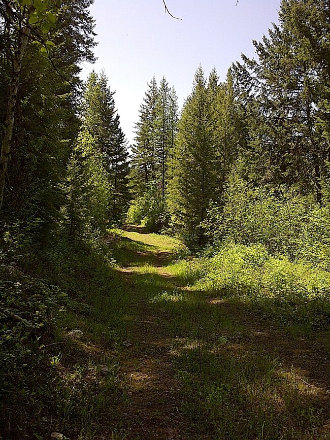 Country Road Take Me Home