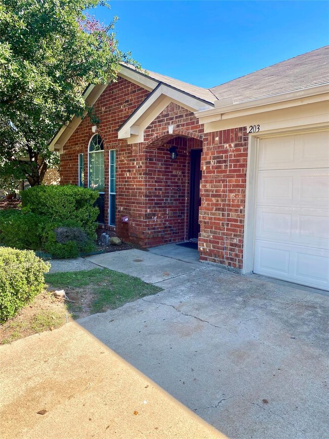 203 Jacinth Ln, Granbury, TX 76049 - photo 2