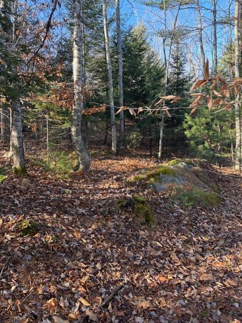 M 6, L 32 Main St, Wayne, ME 04284 - photo 2