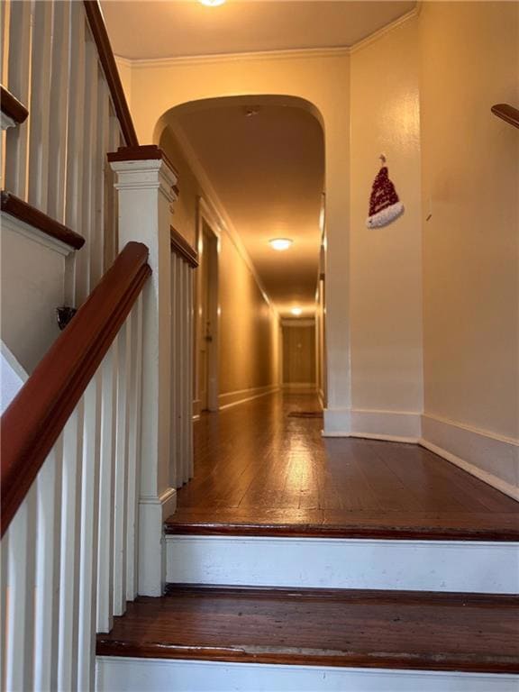 1507 Napoleon Ave unit 304, New Orleans, LA 70115 - photo 4